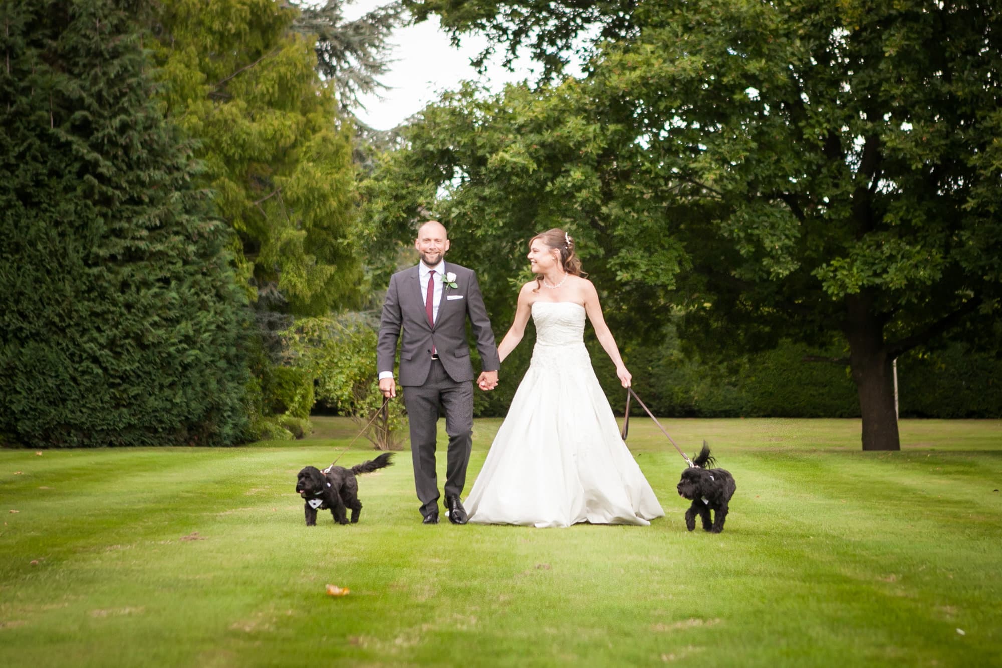 Wedding photo with dogs at at Oaks Farm Shirley Croydon